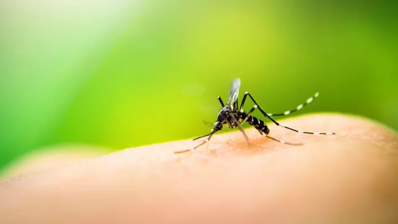 Natal decreta situação de emergência por causa do aumento de casos de dengue, zika e chikungunya