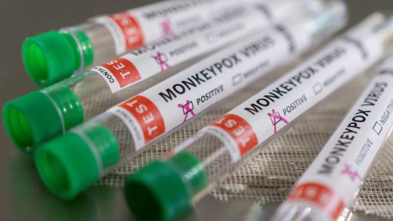 São Paulo confirma 1º caso de varíola dos macacos no Brasil