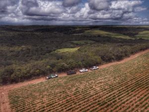 Operação Mata Atlântica em Pé vistoria dois municípios do RN para investigar desmatamento ilegal